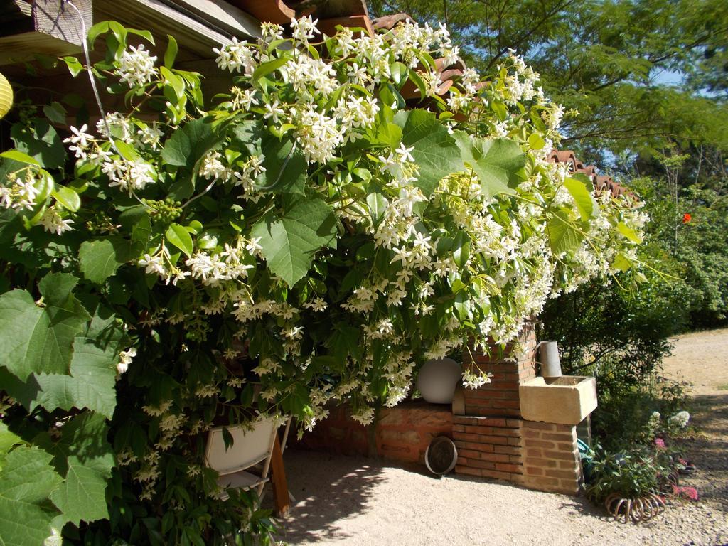 Bed and Breakfast La Cassinette Romenay Exteriér fotografie